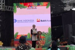 Wagub Lampung sebut Festival Krakatau gabungkan pelestarian budaya-ekonomi