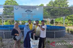 Pemkab Buru Maluku salurkan 200 benih ikan nila pada Lapas  Namlea