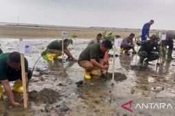 PT Timah tanam ribuan bibit mangrove di Kepri seluas 12,81 hektare