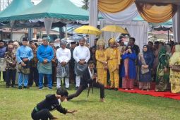 Pesta rakyat meriah, ribuan warga Batu Bara hadiri resepsi pernikahan putri Bupati Baharuddin Siagian
