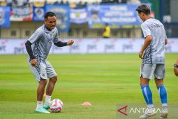 Pemain baru Persib Bandung