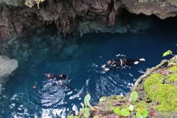 Menyelam dalam air jernih Goa Halo Tabung di Pulau Maratua