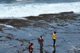 Wisatawan asal Bandung tenggelam di laut Garut
