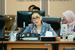 Anggota DPR: Kepatuhan Meta ke PP Tunas bukti Komdigi buahkan hasil