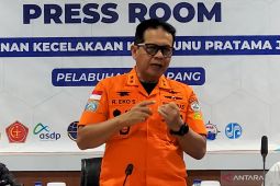 Twenty seven still missing at sea after ferry sinks in Bali Strait