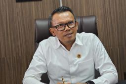 BPN Bali tegaskan tak ada pulau dikuasai WNA