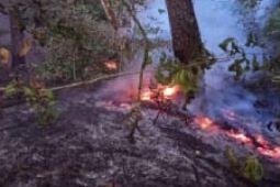 Pusdalops sebut tiga daerah di Sumut  dilanda kebakaran hutan dan lahan