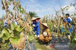 Warga Giri Mukti  ubah lahan tidur jadi sentra pangan penyangga IKN