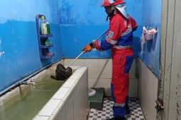 Damkartan Kota Jambi evakuasi ular  sanca dari kamar mandi warga