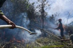 BBMKG pantau 16 titik  panas di Sumatera Utara