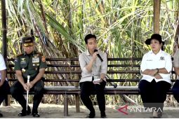 Wapres minta Mentan libatkan anak muda untuk R&D pertanian