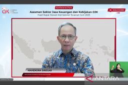 OJK minta LJK lakukan asesmen lanjutan untuk mitigasi risiko ketidakpastian global