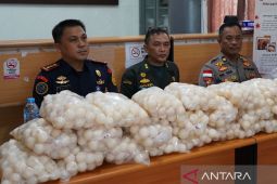 KKP gagalkan penyelundupan ribuan telur penyu di Kabupaten Sambas