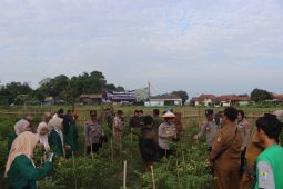 Polresta Cirebon membantu petani melakukan budi daya cabai dan ikan lele
