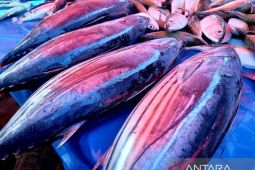 DPRD Gorontalo Utara tanggapi aspirasi nelayan terkait PNBP
