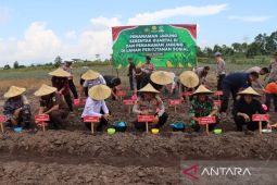 Polres Bangka Selatan dukung program swasembada jagung