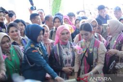Ketua Dekranas  ajak perajin manfaatkan medsos kembangkan usaha