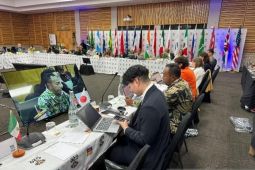Indonesia paparkan strategi pembangunan inklusif di Forum G20 EWWG Afrika Selatan