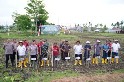 Pemprov Malut ikut tanam jagung serentak