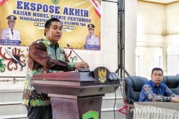 Pembangunan sektor pertanian prioritas strategis Pemkab Pulang Pisau