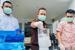 Kejari Aceh Barat musnahkan 3,1 kg ganja dan satu pucuk senpi