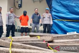 Polres Donggala tangkap pelaku pembalakan liar