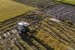 Skema pembiayaan Kredit Usaha Alsintan (KUA) bagi petani