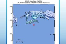 BMKG imbau warga Ambon tetap tenang usai gempa dangkal  Kamis sore