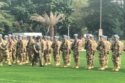 Panglima TNI apresiasi satgas telah jalankan misi perdamaian Afrika