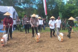 Sebanyak 11 ribu hektare lahan di Sumbawa Barat ditanami jagung