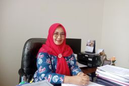 Realisasi investasi di Belitung terus meningkat dalam tiga tahun terakhir