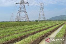 Program prioritas di Kabupaten Serang tunjukkan kemajuan signifikan