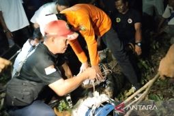 BPBD Belitung evakuasi buaya dari pemandian warga