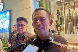 Gubernur Ansar soroti peluang energi baru saat tarif listrik Batam naik