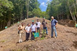 Hijaukan hutan dan ramah anak sebuah inovasi lingkungan PLN yang raih Nusantara CSR Awards