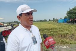 Bulog Sumut serap 18.100 ton  setara beras awal Juli 2025