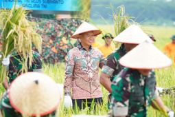Bupati Langkat dukung ketahanan pangan nasional