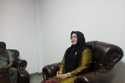 Hellyana mengaku hubungannya dengan Gubernur Babel renggang sejak awal