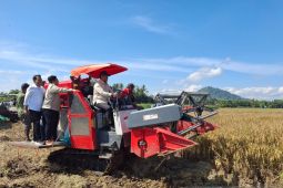 Wamentan paparkan langkah wujudkan swasembada pangan dan stop impor