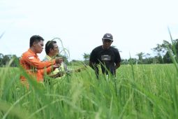 PT Vale hadirkan LRP di Pomalaa untuk dorong kemandirian ekonomi lokal