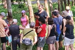 Wisatawan Spanyol kunjungi wisata Perkebunan Gunung Pasang Jember