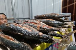 Pemkot Jayapura: Ikan asap bisa jadi menu untuk program MBG