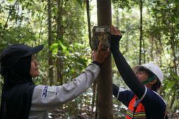 YKAN-BRIN  kerja sama teliti satwa langka di Kaltim