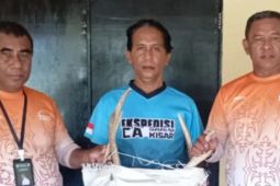 BKSDA Maluku gagalkan penyelundupan opsetan  tanduk rusa ke Jakarta