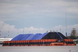 Tidak terpengaruh demo, Harga batu bara periode I September naik