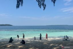 Lumba-lumba di Kepulauan Seribu