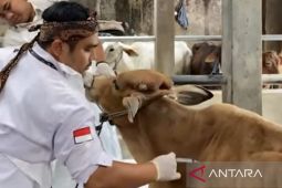 DPKHP Cianjur rutin memberikan vaksin gratis untuk hewan ternak