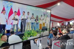 Mentan sebut tak beri toleransi bagi pengecer pupuk nakal