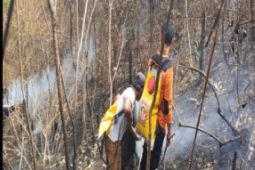 Empat hektare lahan terbakar akibat Karhutlah di Toba