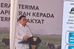Kementan sebut 25.097 sapi indukan telah didatangkan ke RI per 10 Juli